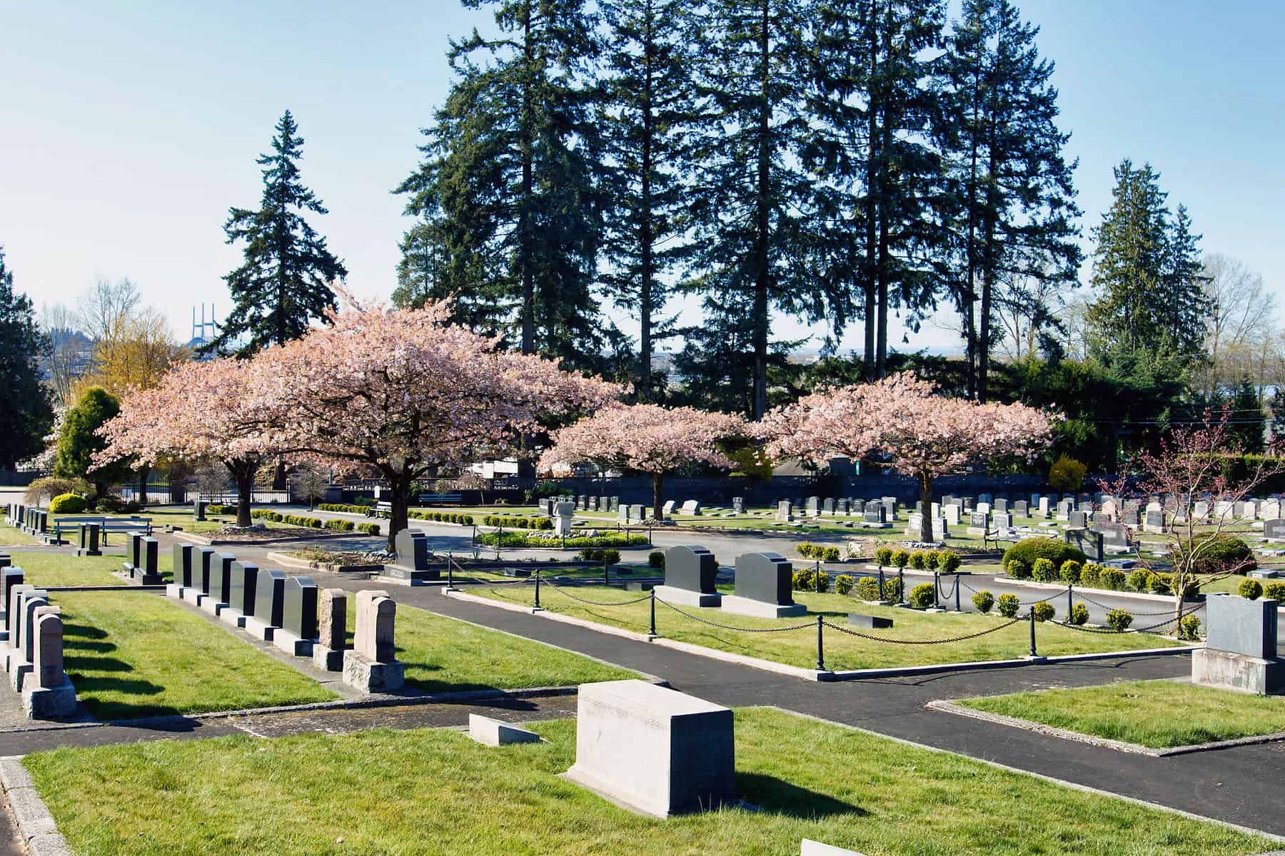 Terugbetaling Gemiddeld Nodig uit Schara Tzedeck Cemetery Board | Jewish Funeral Services Vancouver, BC |  Grave Finder List